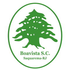 Boavista logo