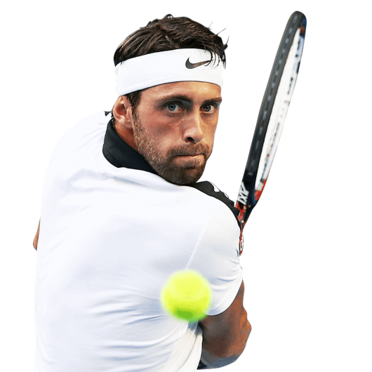 Nikoloz Basilashvili logo