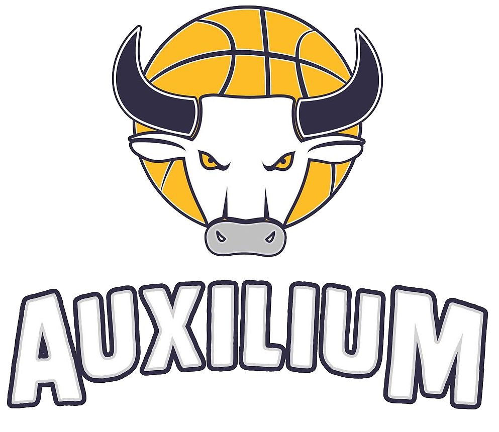 Torino logo