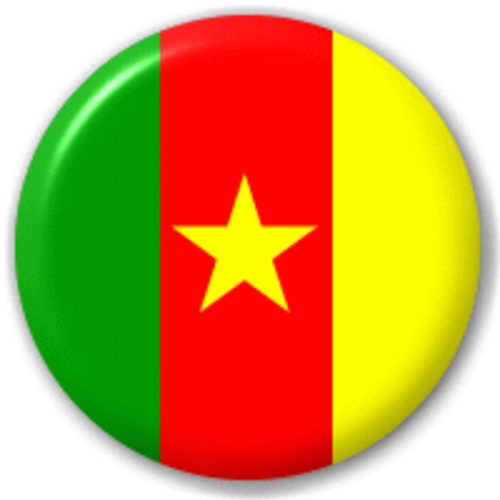 Cameroon logo