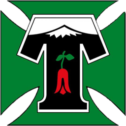 Deportes Temuco logo