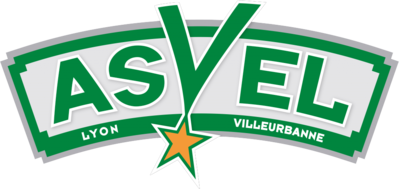 Lyon Villeurbanne   logo