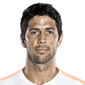 Fernando Verdasco logo