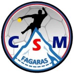 CSM Fagaras  logo