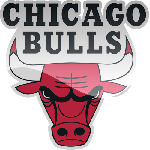 Chicago Bulls	 logo
