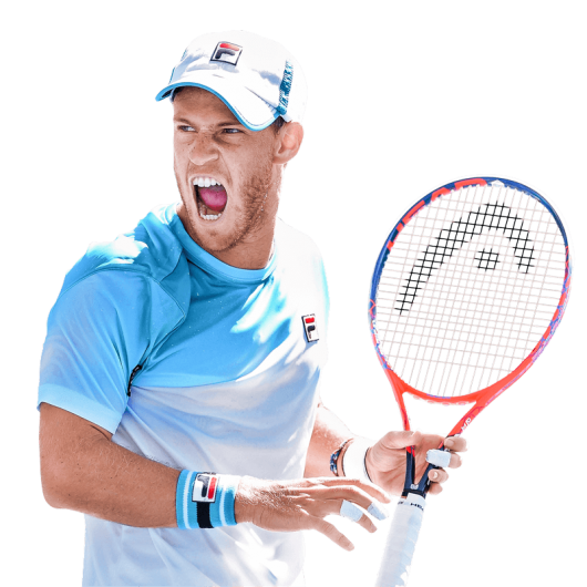 Diego Schwartzman logo