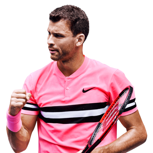  Grigor Dimitrov logo