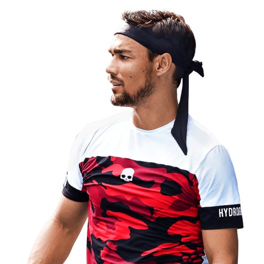   Fabio Fognini logo