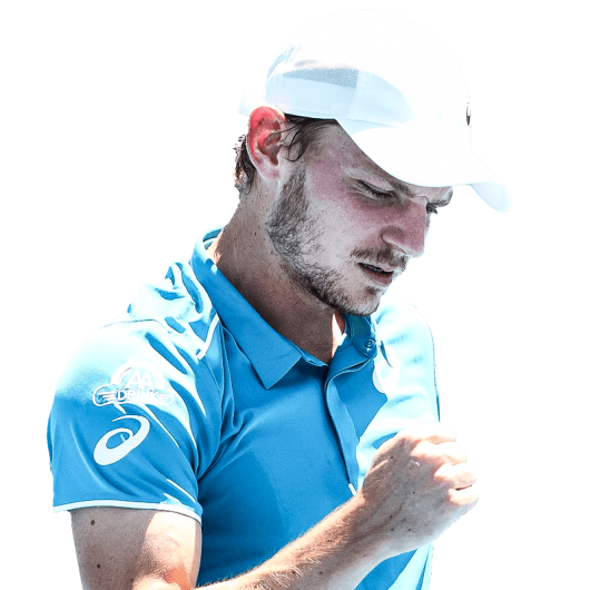 David Goffin  logo