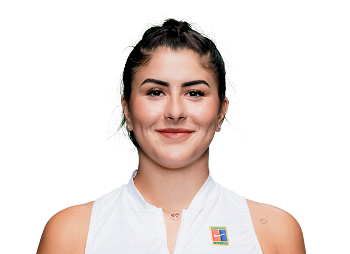 Andreescu B. V.  logo