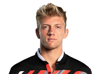 Davidovich Fokina A. logo