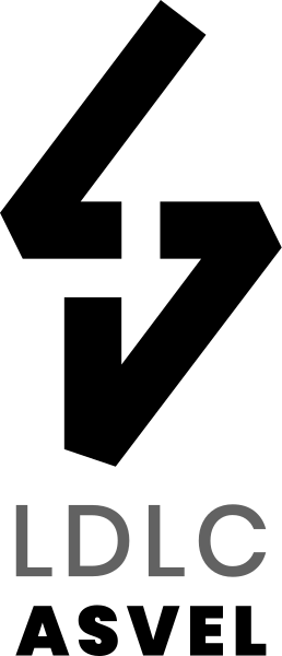 Lyon-Villeurbanne  logo