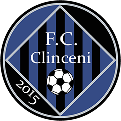 Academica Clinceni logo
