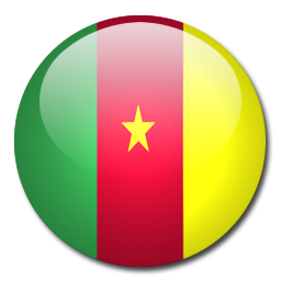 Cameroon W logo