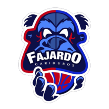 Cariduros Fajardo logo