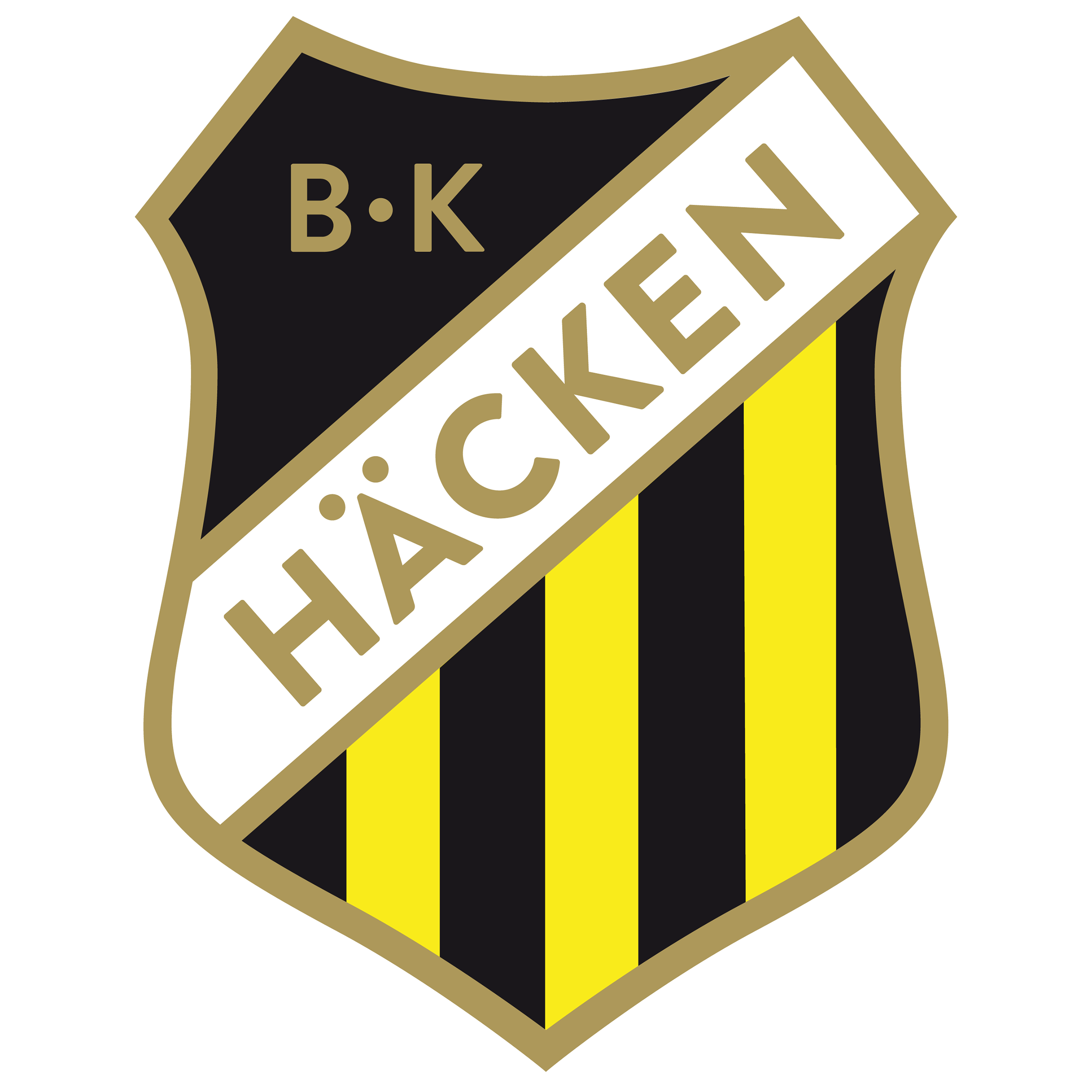 Hacken logo