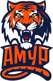 Amur Khabarovsk logo