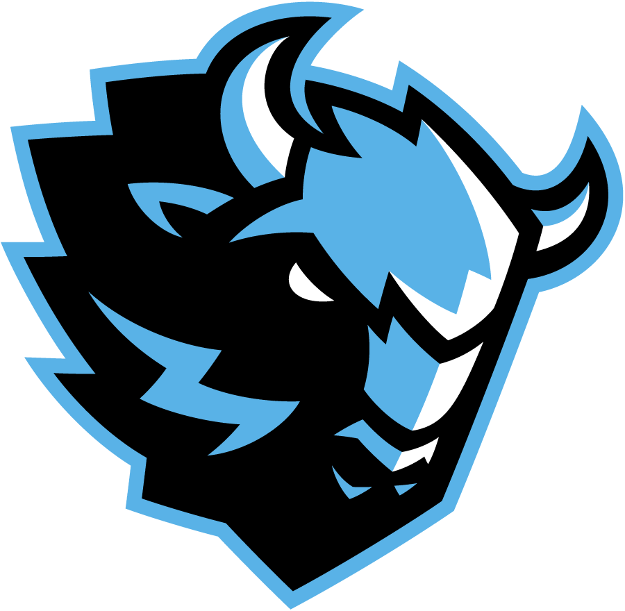 Din. Minsk  logo