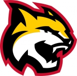 Gomel  logo