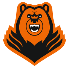 Molot Perm logo