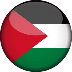 Palestine logo