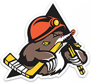 Soligorsk logo