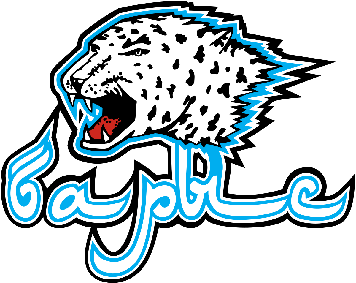 Barys Nur-Sultan logo
