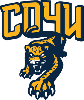 Sochi  logo