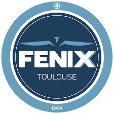 Toulouse logo