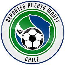 D. Puerto Montt logo