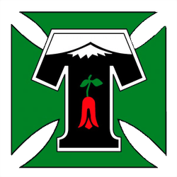 Deportes Temuco logo