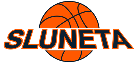Usti n. Labem logo