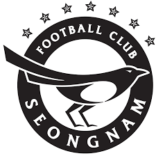 Seongnam logo