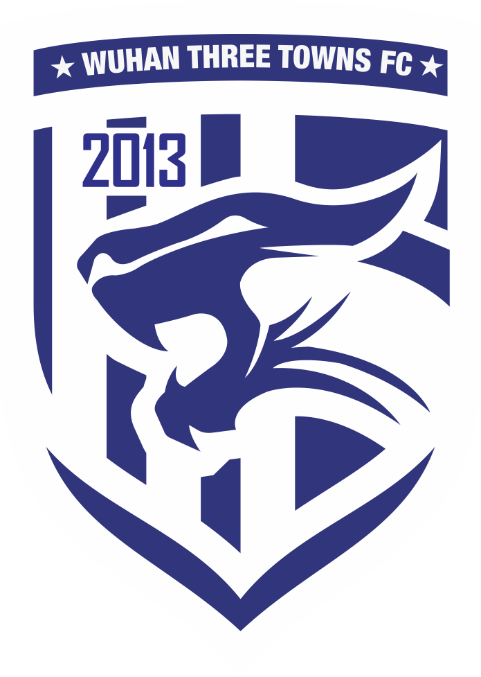Wuhan Three Towns logo