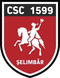 Selimbar logo