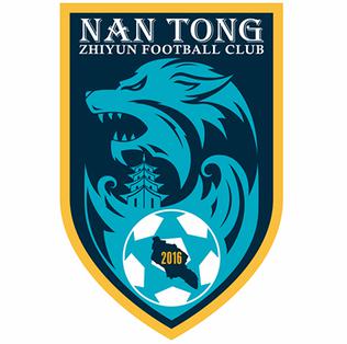 Nantong Zhiyun logo