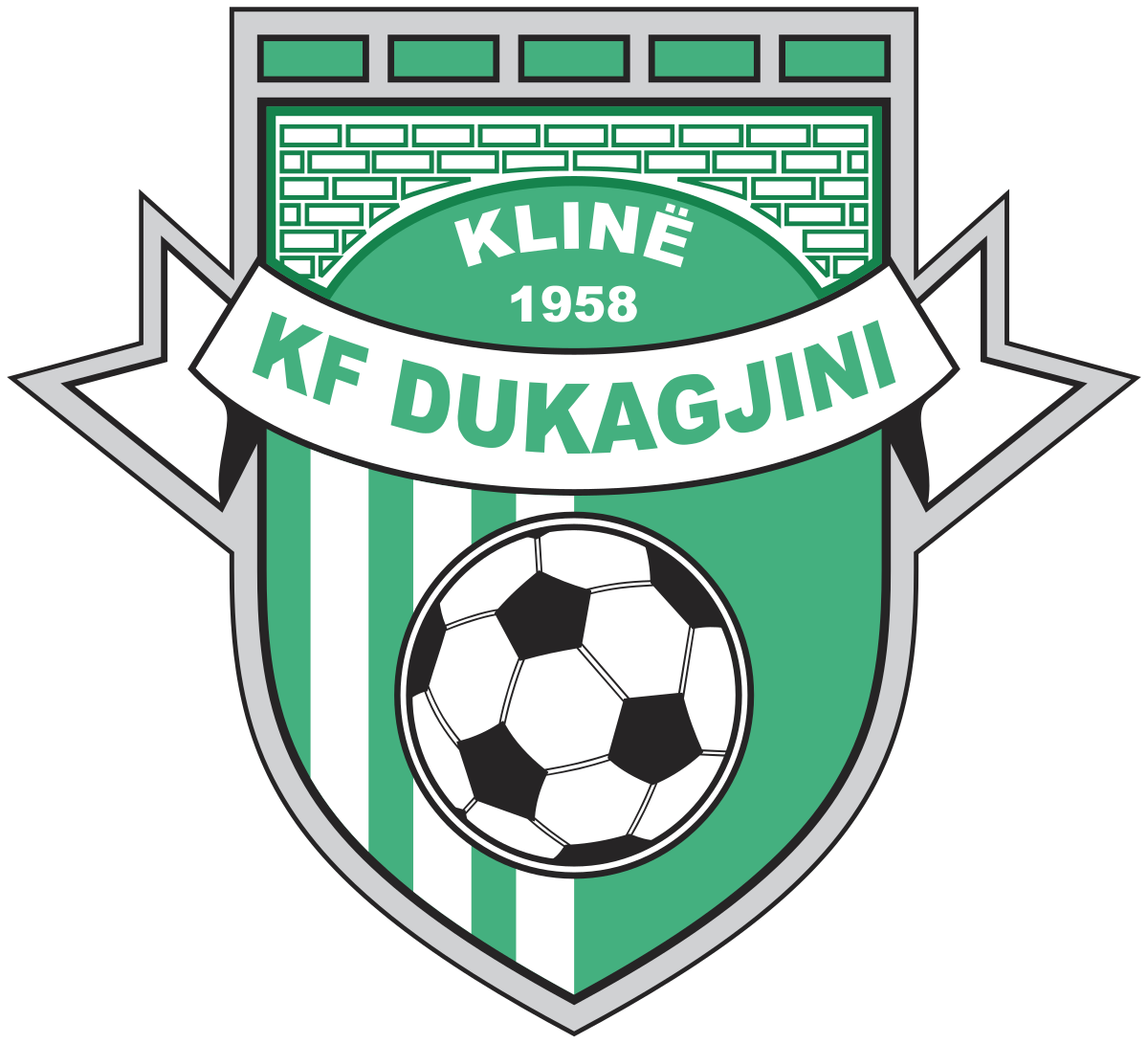 Dukagjini logo