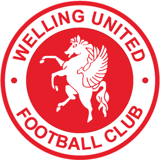 Welling logo