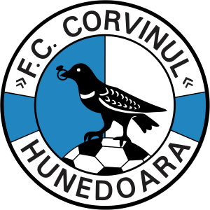   Hunedoara logo