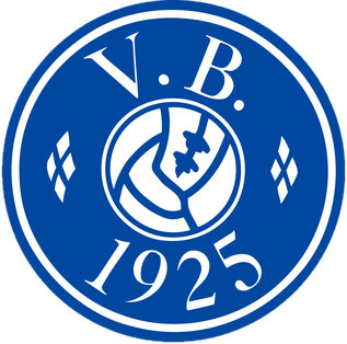 Vejgaard logo