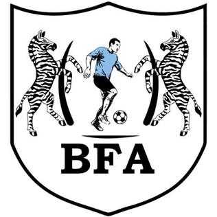 Botswana logo